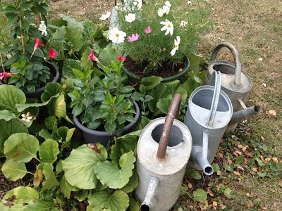 Détail du jardin de la ferme, arrosoir en zinc